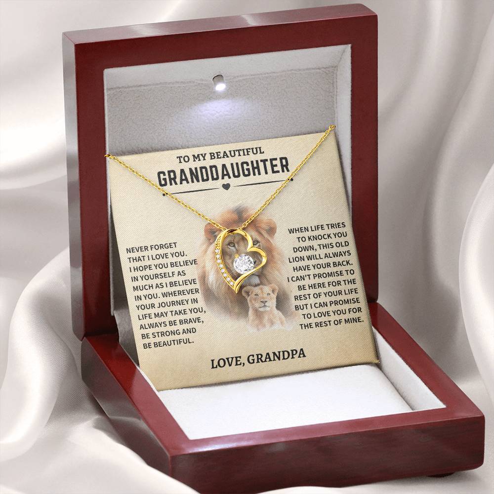 Granddaughter Gift- From Grandpa- Old Lion