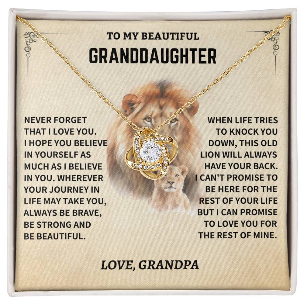 Gift For Granddaughter From Grandpa, "Never Forget How Much I Love You," Necklace